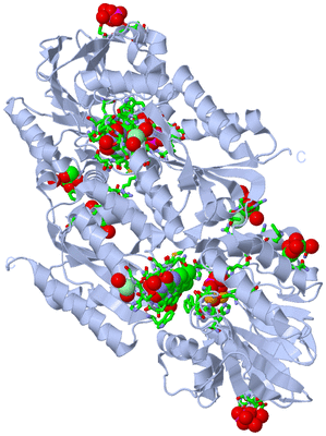 Image Biol. Unit 1 - sites