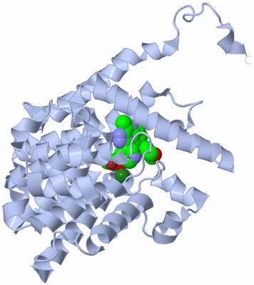 Image Biological Unit 1