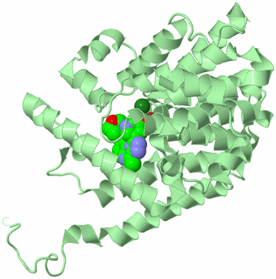 Image Biological Unit 2