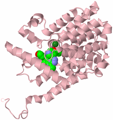 Image Biological Unit 3