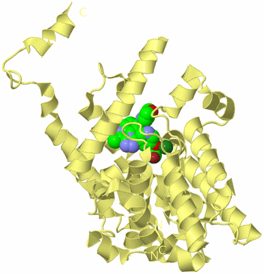 Image Biological Unit 4