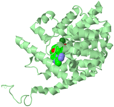 Image Biological Unit 2