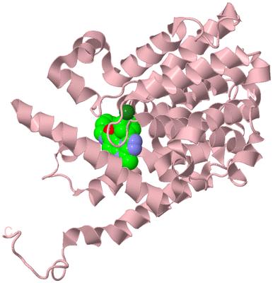 Image Biological Unit 3