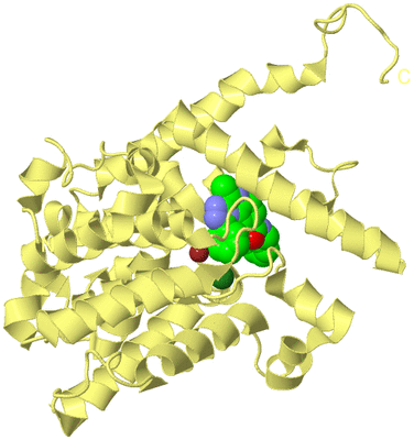 Image Biological Unit 4