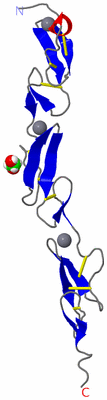 Image Asymmetric Unit