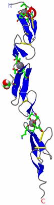 Image Asym. Unit - sites