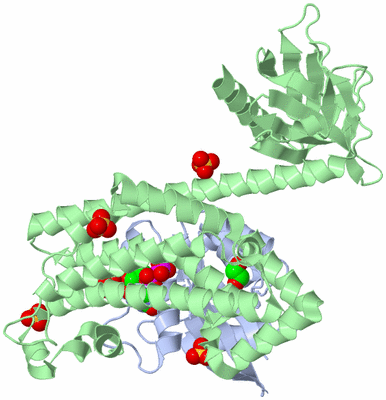 Image Asym./Biol. Unit