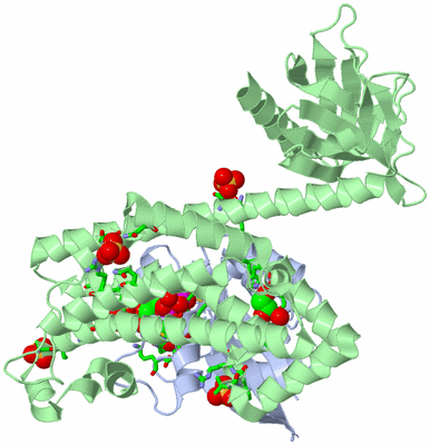 Image Asym./Biol. Unit - sites