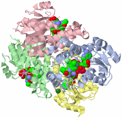 Image Asym./Biol. Unit