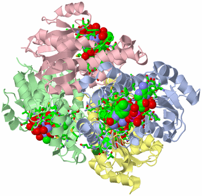 Image Asym./Biol. Unit - sites