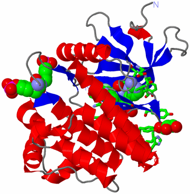 Image Asym./Biol. Unit - sites