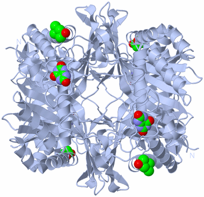 Image Biological Unit 1