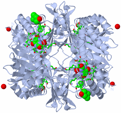 Image Biol. Unit 1 - sites