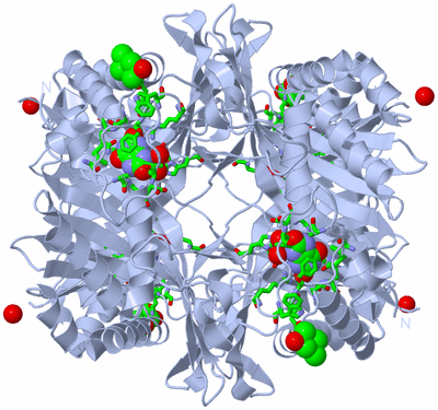 Image Biol. Unit 1 - sites