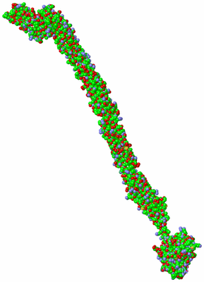 Image Asymmetric Unit