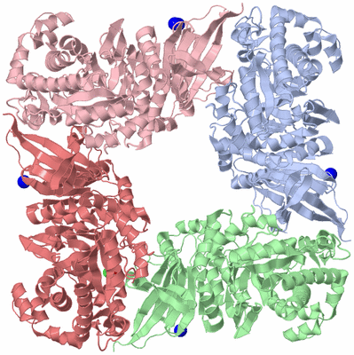 Image Biological Unit 10