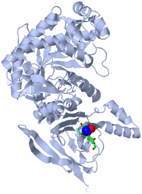 Image Biol. Unit 1 - sites