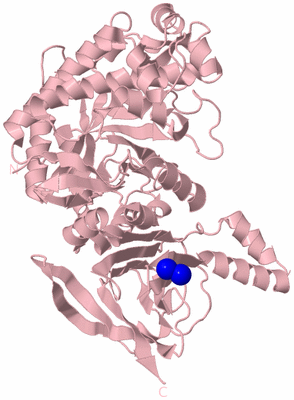 Image Biological Unit 2