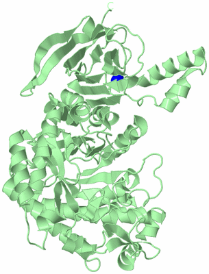 Image Biological Unit 3