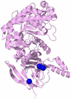 Image Biological Unit 4