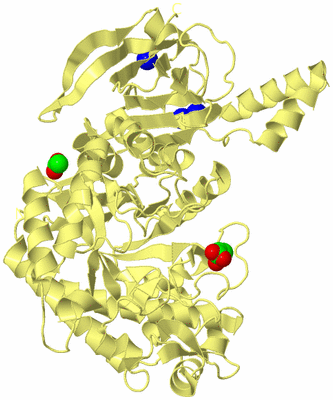 Image Biological Unit 5