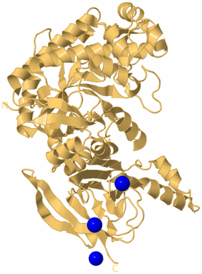 Image Biological Unit 6