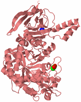 Image Biological Unit 7