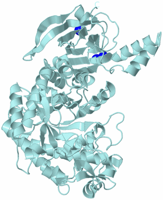 Image Biological Unit 8