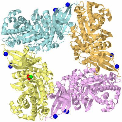 Image Biological Unit 9