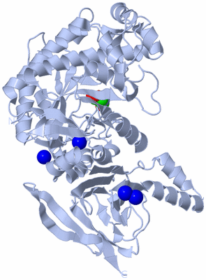 Image Biological Unit 1