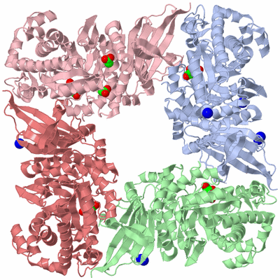 Image Biological Unit 10