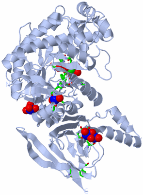 Image Biol. Unit 1 - sites