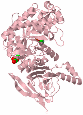 Image Biological Unit 2