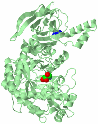 Image Biological Unit 3