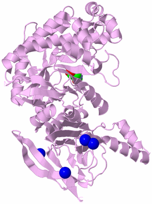 Image Biological Unit 4