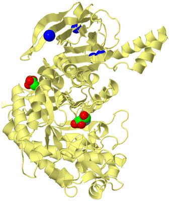 Image Biological Unit 5