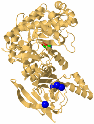 Image Biological Unit 6