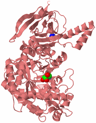 Image Biological Unit 7