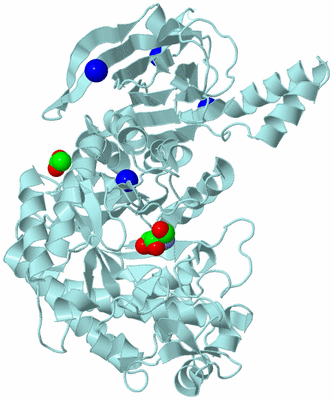 Image Biological Unit 8