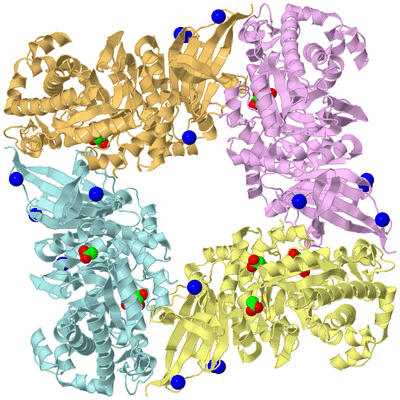 Image Biological Unit 9