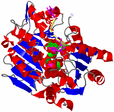 Image Asym./Biol. Unit