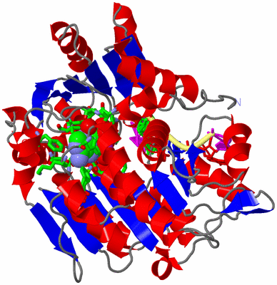 Image Asym./Biol. Unit - sites