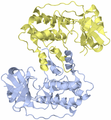 Image Biological Unit 1