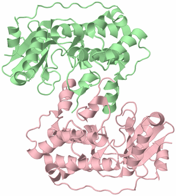 Image Biological Unit 2