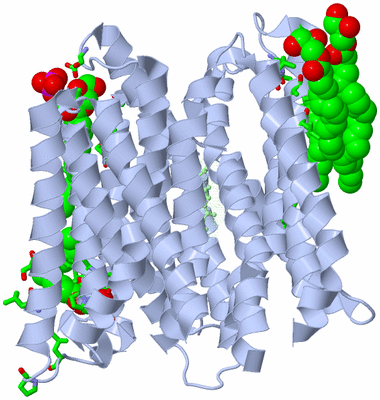 Image Asym./Biol. Unit - sites