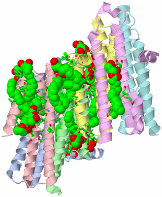 Image Asym./Biol. Unit - sites