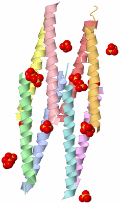 Image Asymmetric Unit