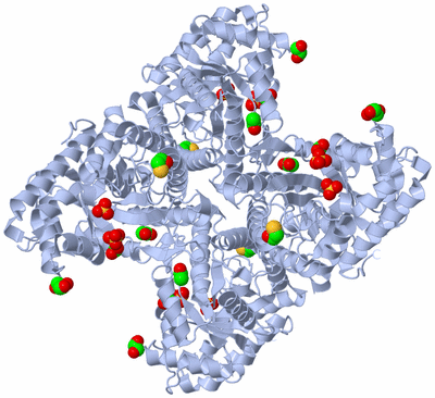 Image Biological Unit 1