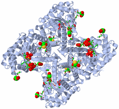 Image Biol. Unit 1 - sites