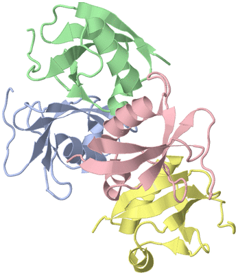 Image Asymmetric Unit